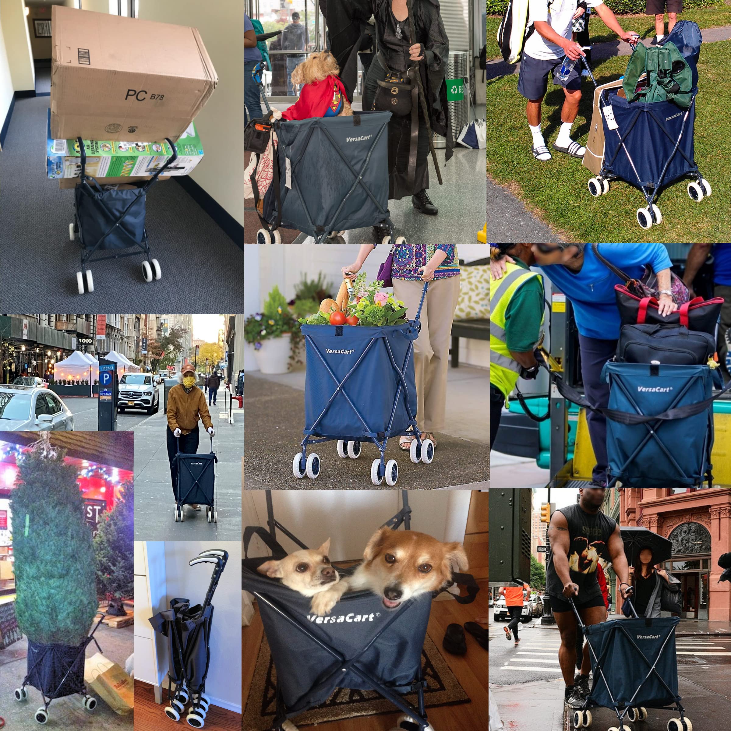 VersaCart Patented Folding Shopping and Utility Cart